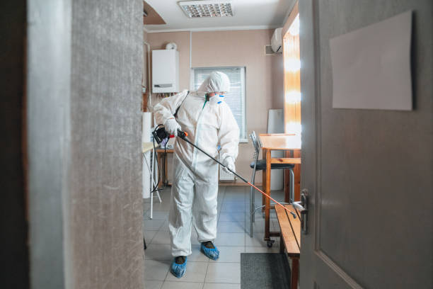 Best Mold Prevention Services  in Clarkson Valley, MO